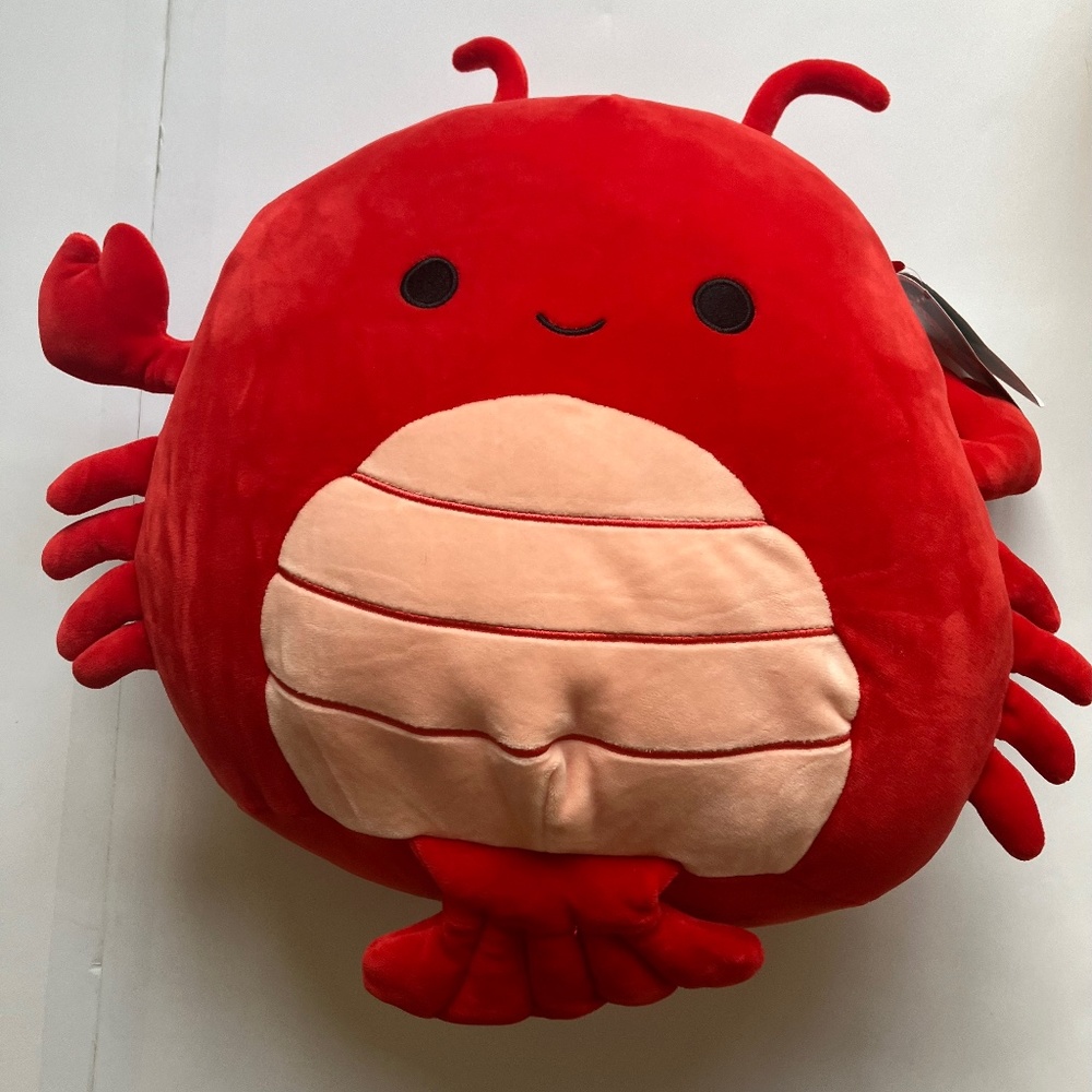 NWT Learning Express Exclusive Squishmellow ( Louie)